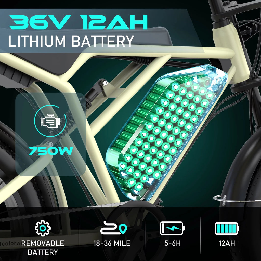 750W Electric Bike 20X4.0 Fat Tire 48V 15Ah Battery A939780