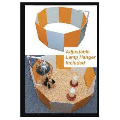 Baby Chick Starter Home J6929