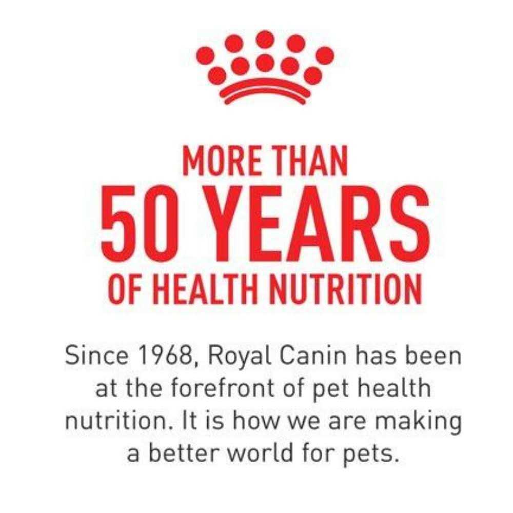 Low Fat Canned Dog Food D170987