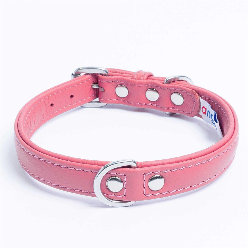 Dog Collar E640720