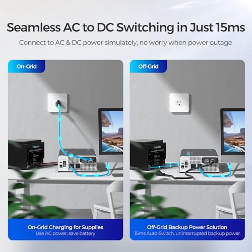 3000W 12V to 110V Pure Sine Wave Power Inverter U369