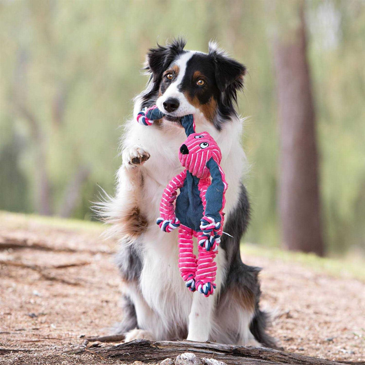 Bunny Dog Toy H213607