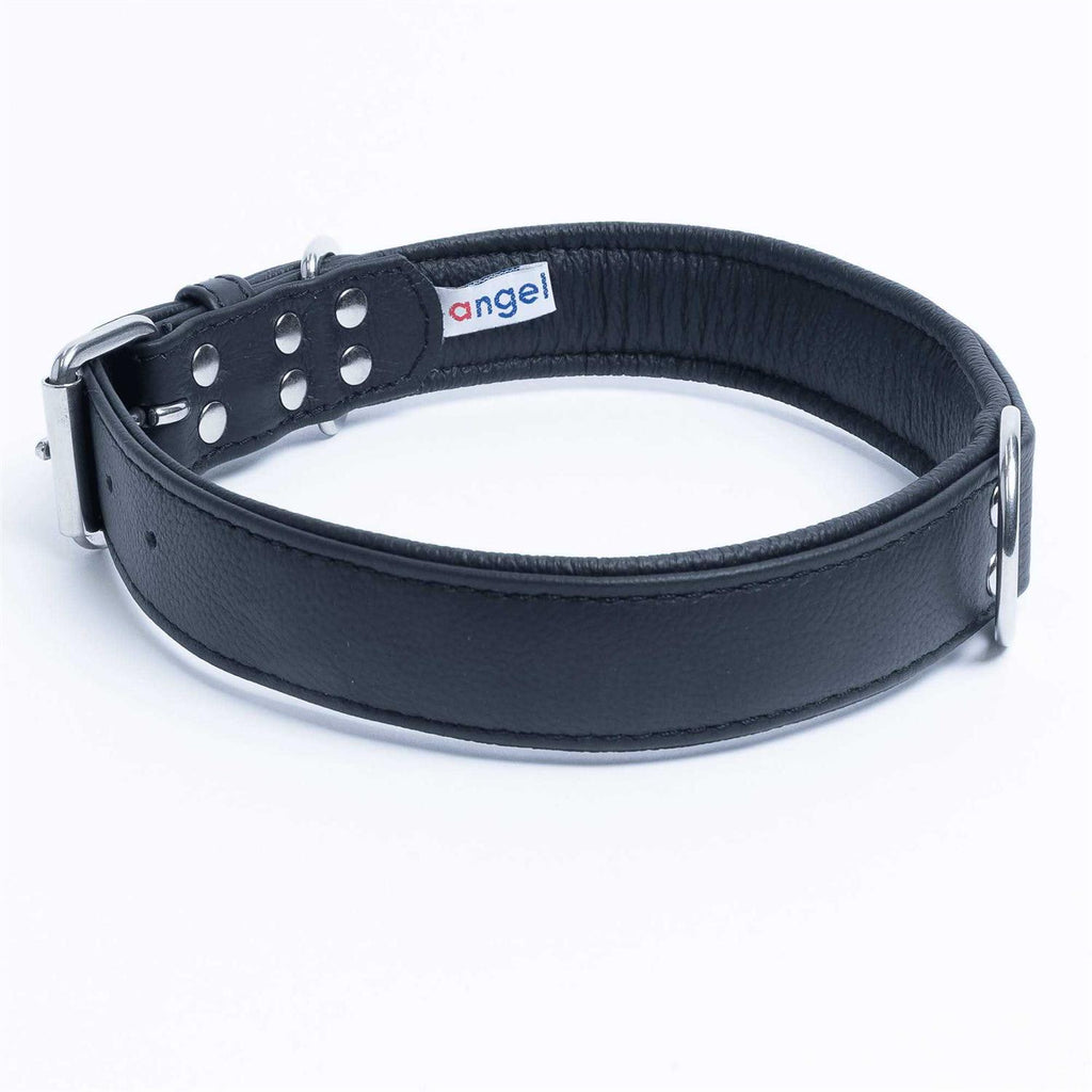 Dog Collar E640720