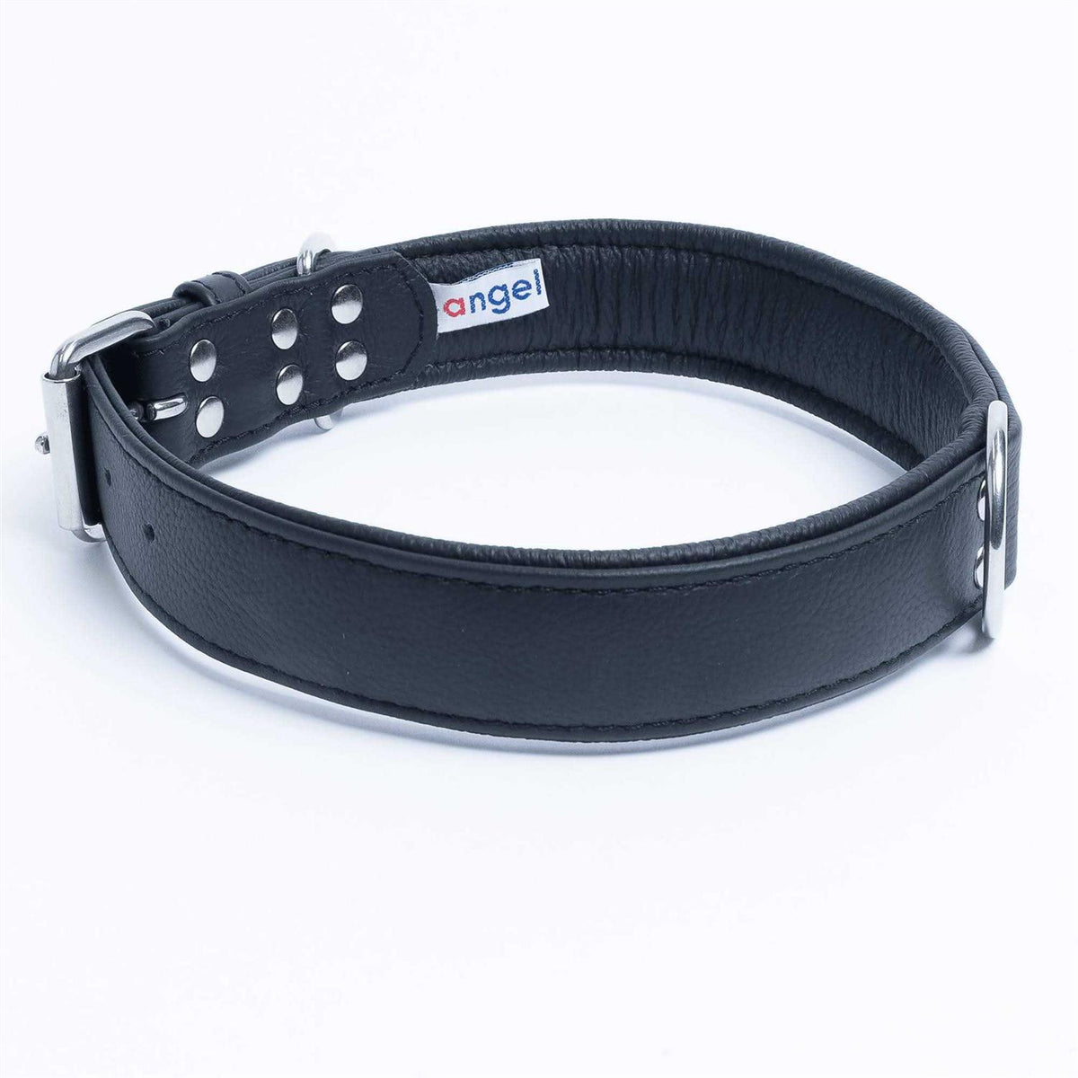 Dog Collar E640720