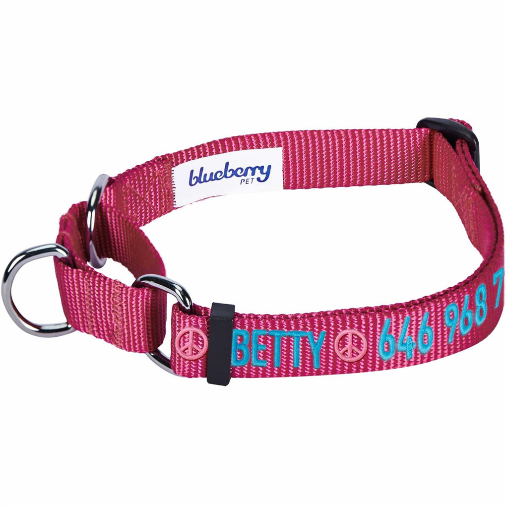Martingale Safety Training Dog Collar D52867