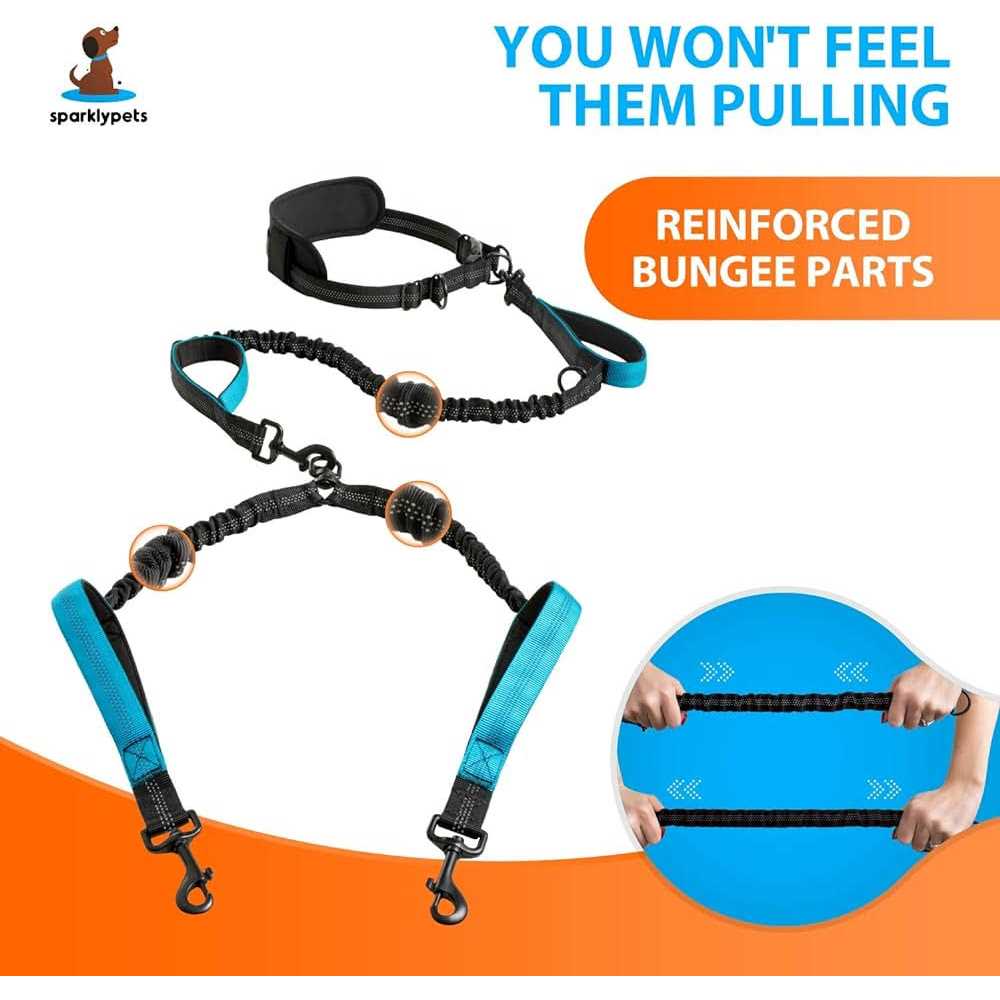 Hands Free Double Dog Leash I342315