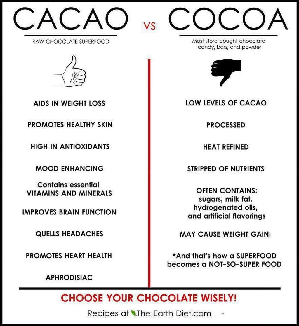 Dark Chocolate Coconut Protein Bar 10 Ct K636