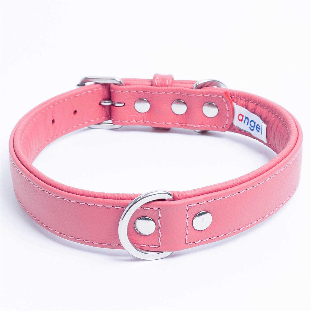 Dog Collar E640720