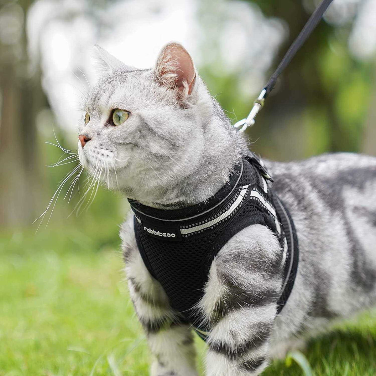 Cat Harness and Leash Soft Adjustable Vest K36454