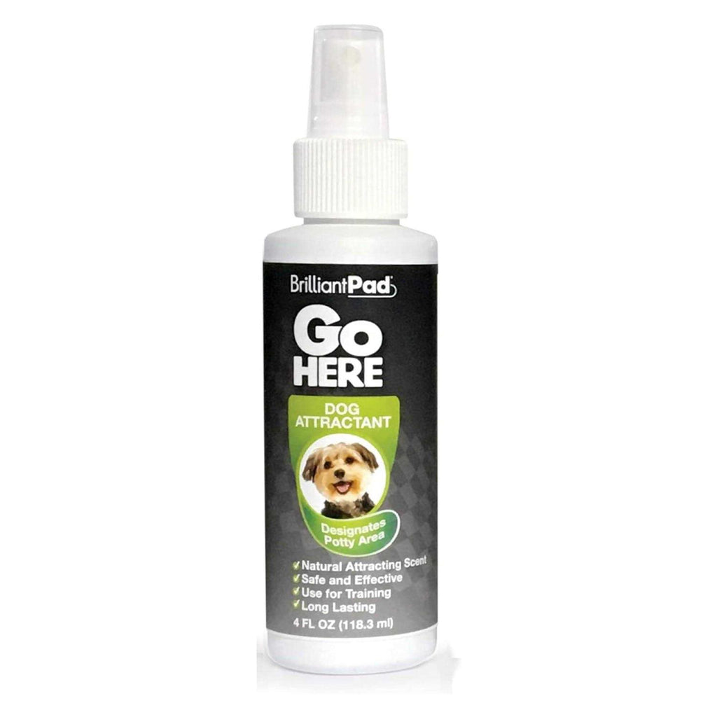 Dog Potty Attractant Spray B442