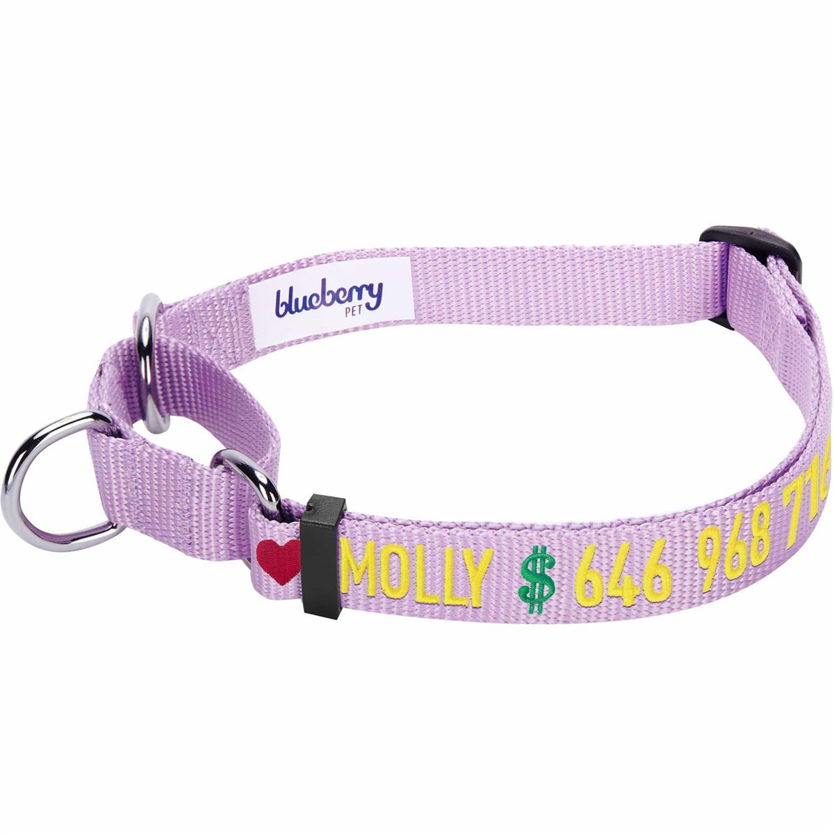 Martingale Safety Training Dog Collar D52867