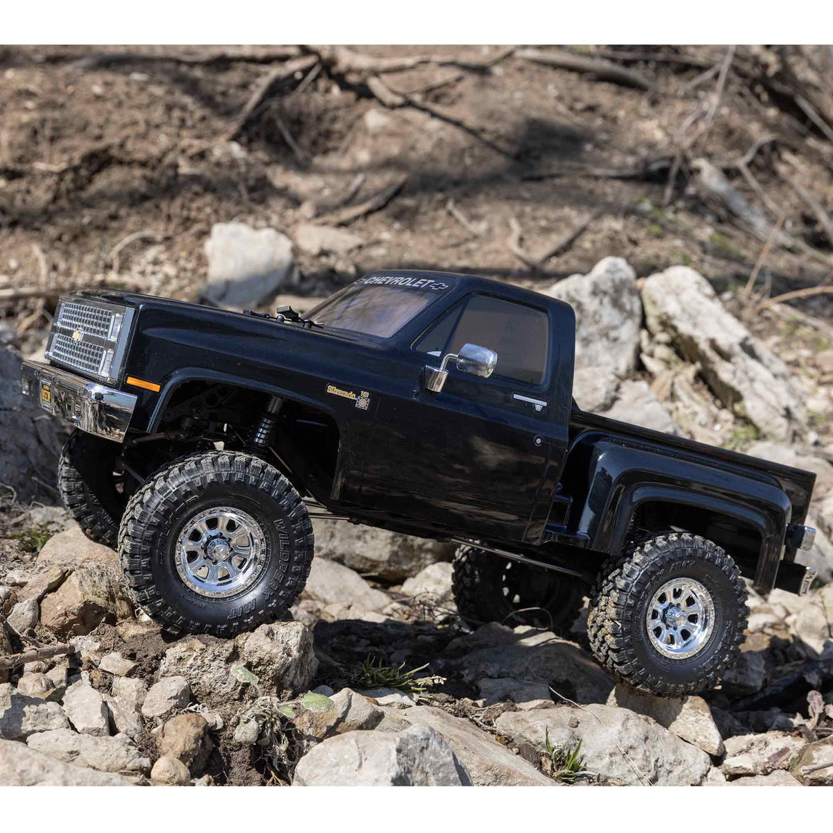 Black RC Truck P3022