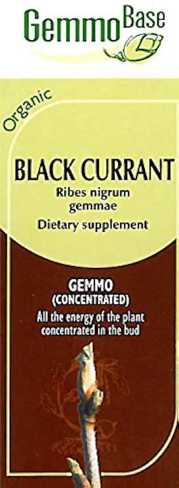 Black Current V4622