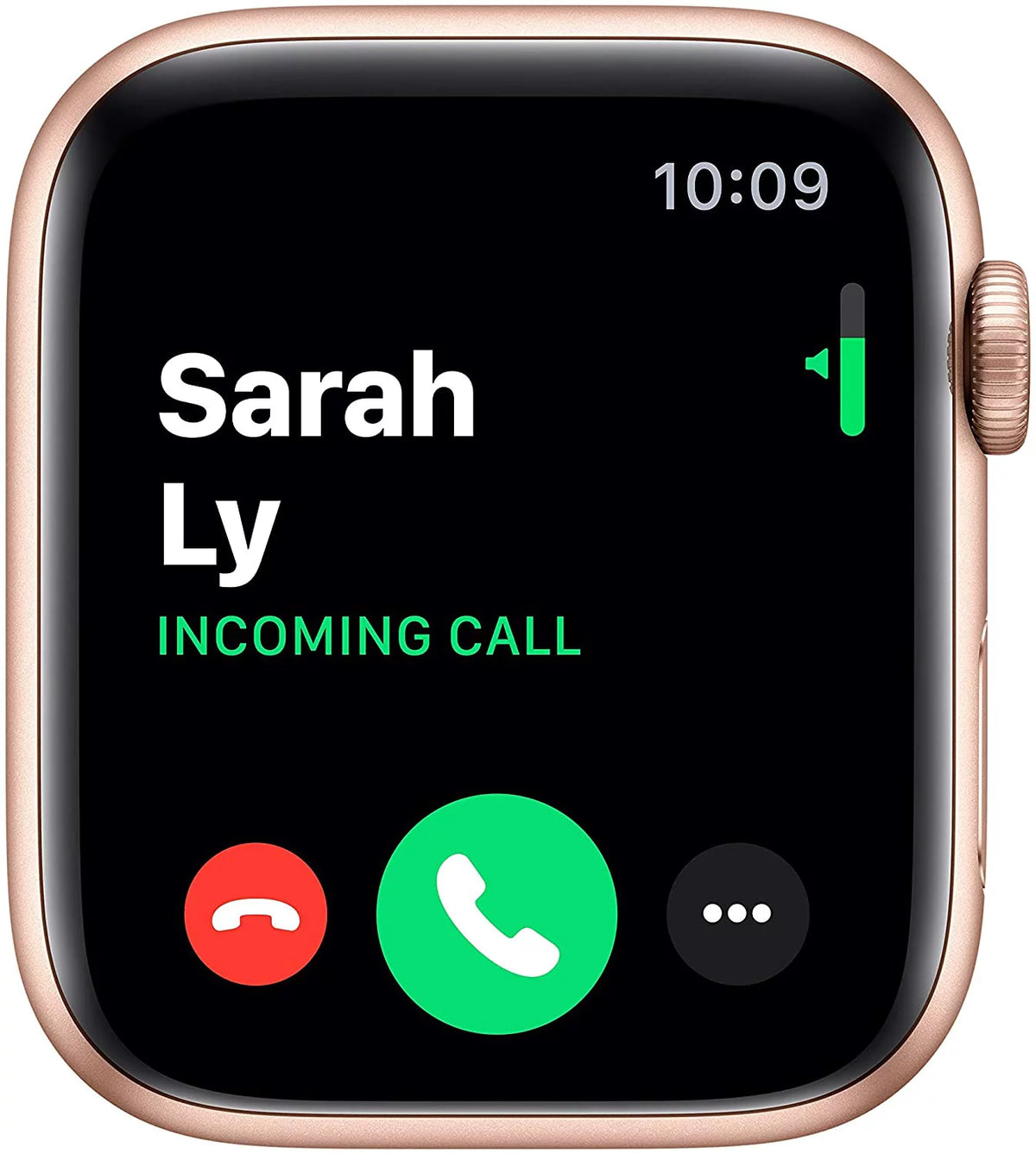 Gold 40MM Apple Watch X381059