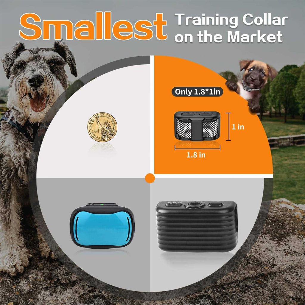 Lightest Dog Training Collar with Remote J490