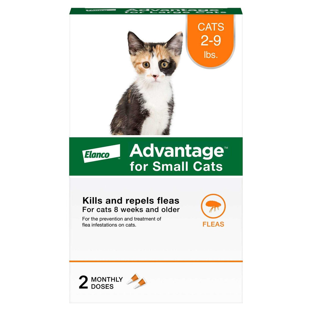 Topical Flea Prevention for Small Cats P425370