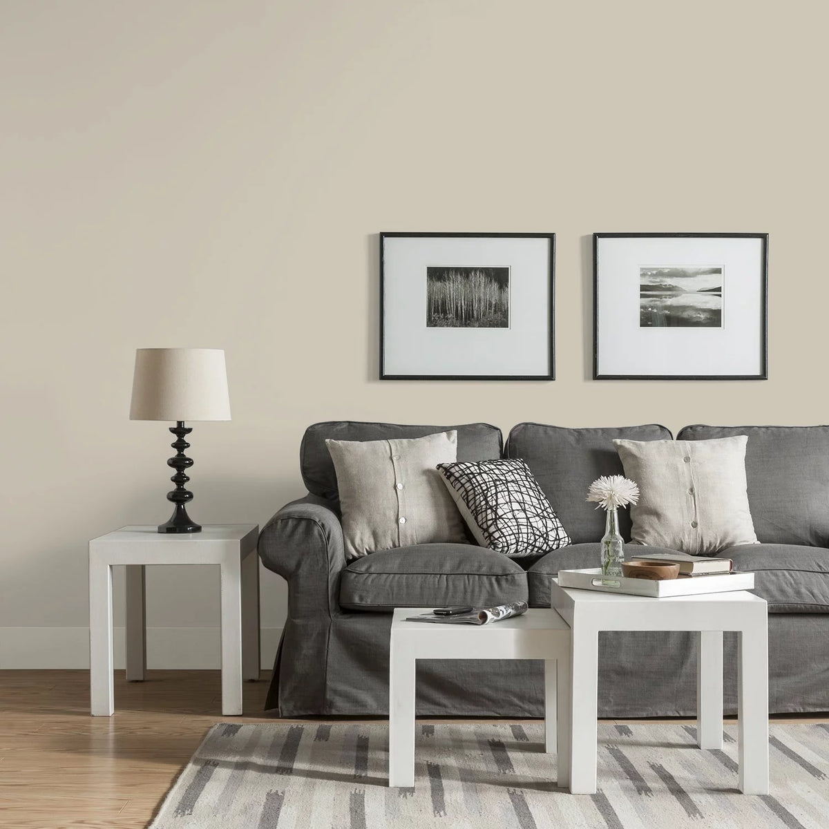 Interior Paint + Primer Eggshell 1 Gallon D22511