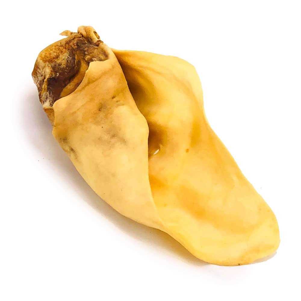 Cow Ears G6288