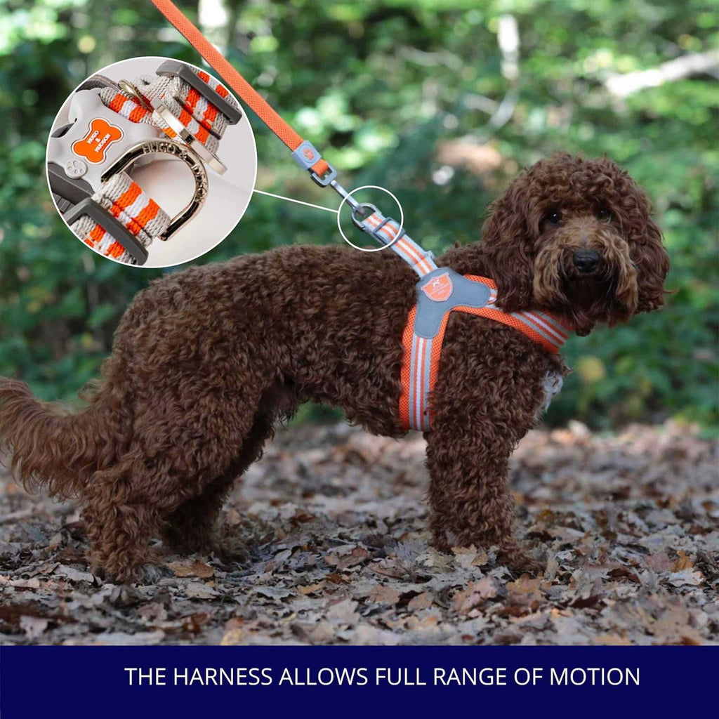 Dog Harness Z91918