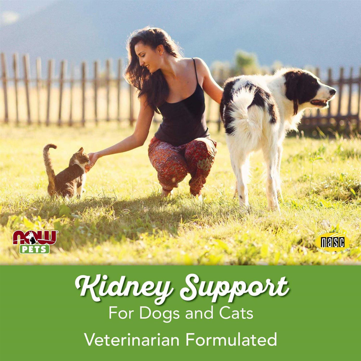 Kidney Support for Dogs/Cats Z937680